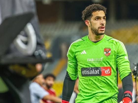 مصطفى شوبير