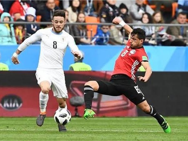 طارق حامد