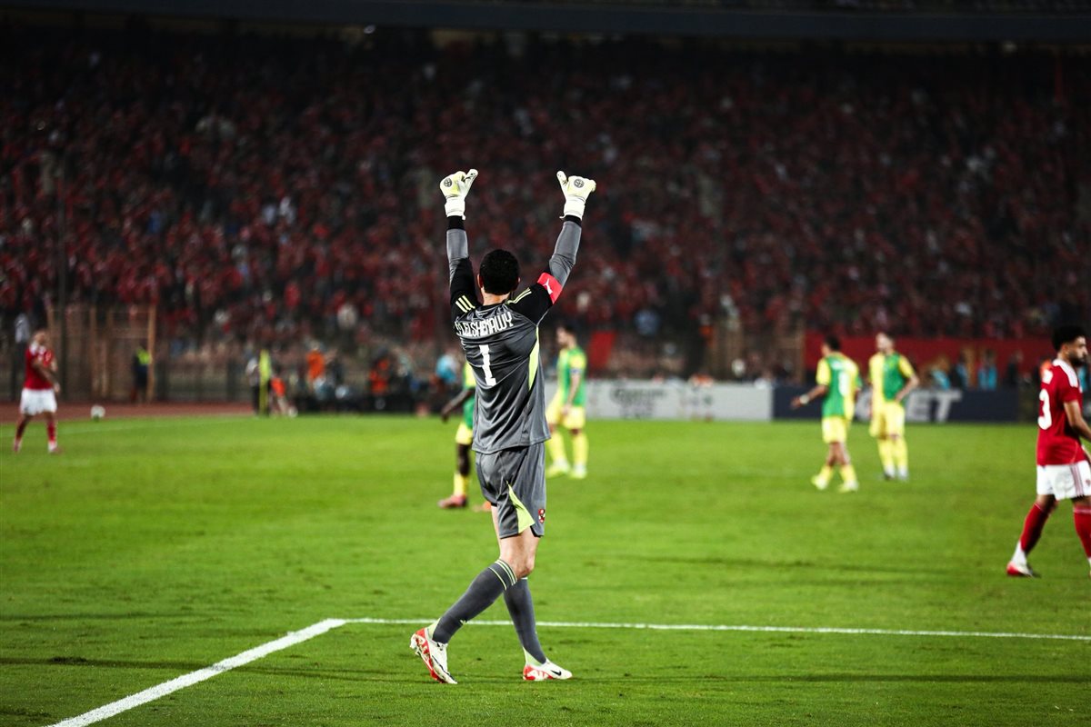 محمد الشناوي