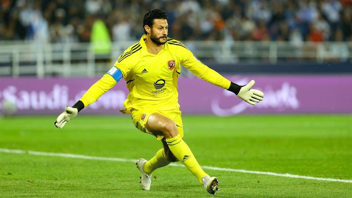 محمد الشناوي