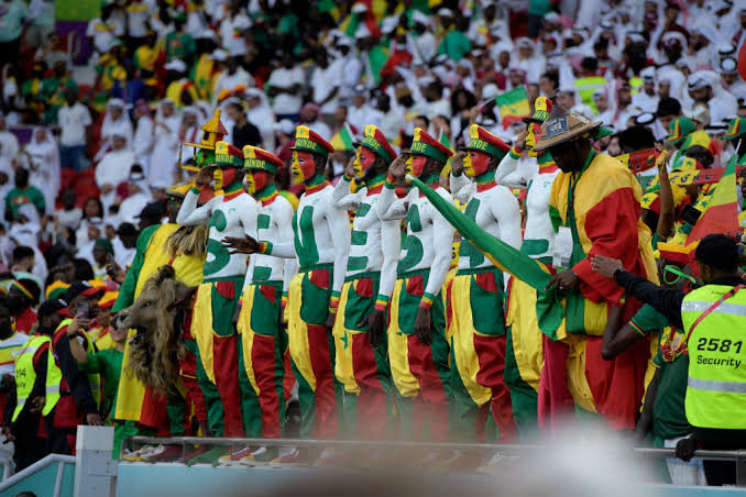 جماهير السنغال&nbsp;