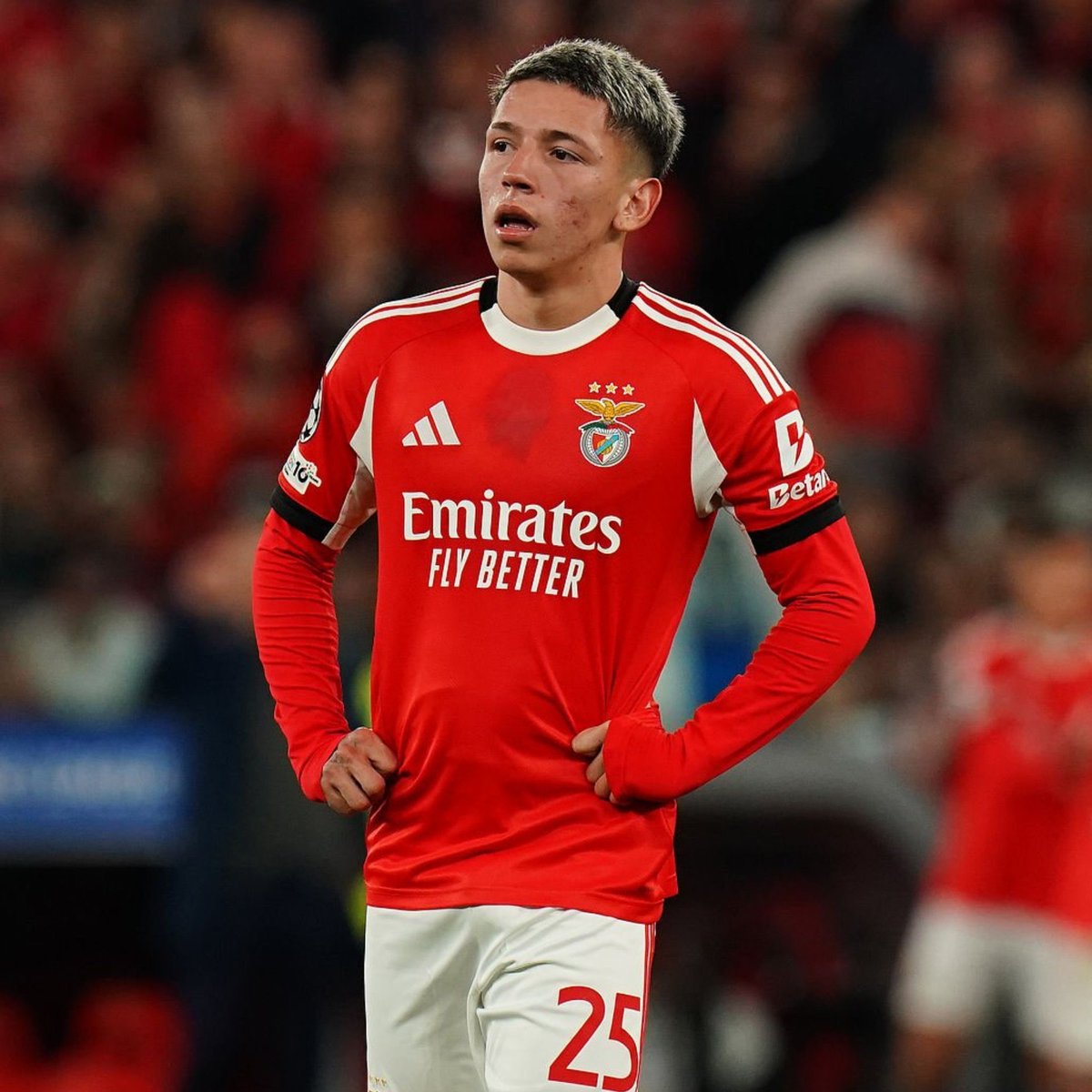 &nbsp;بريستياني&nbsp;