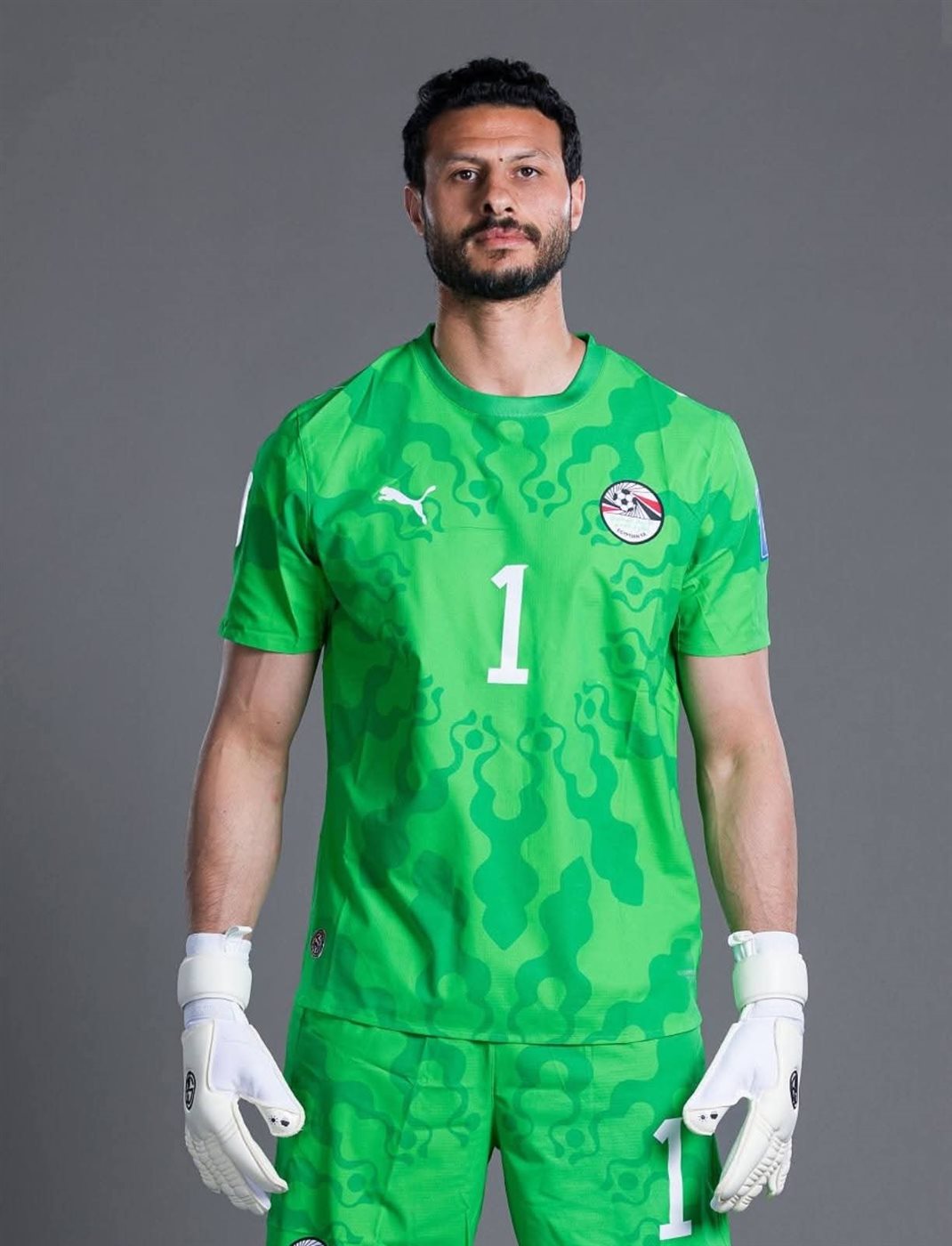 محمد الشناوي&nbsp;