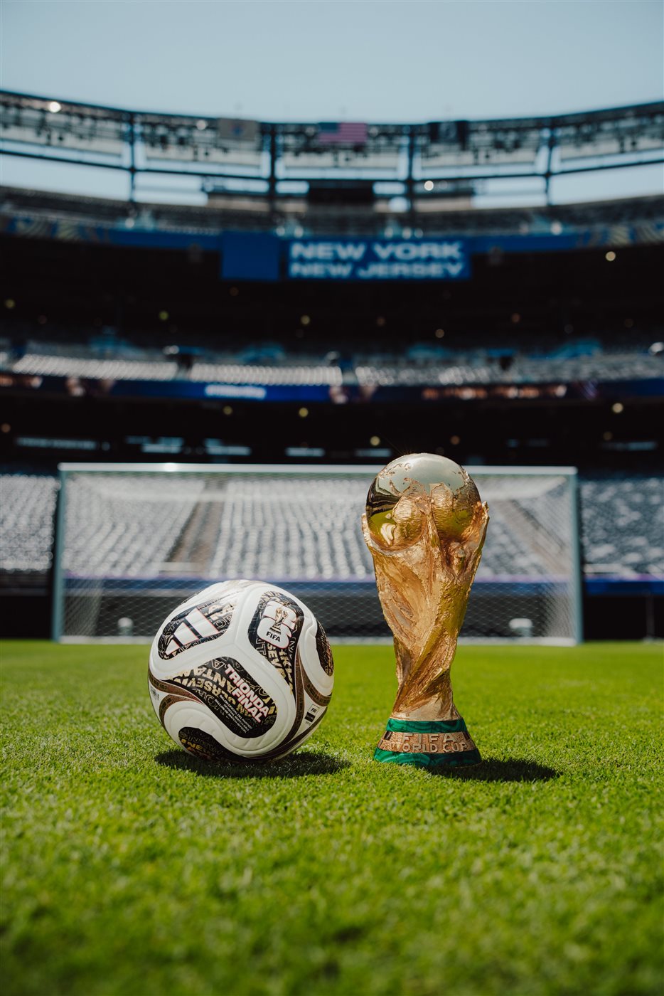 كرة نهائى كأس العالم