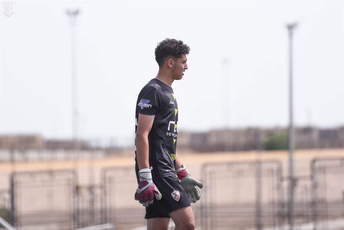 محمد رضا
