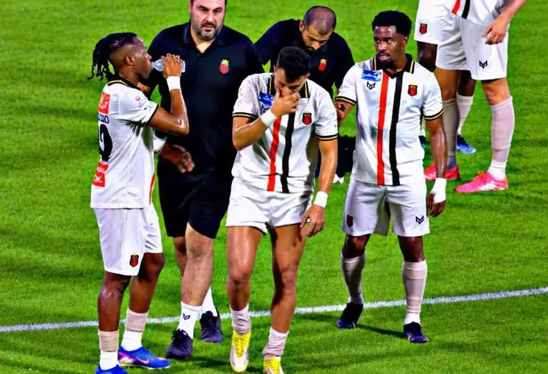 محمود حسن تريزيجيه