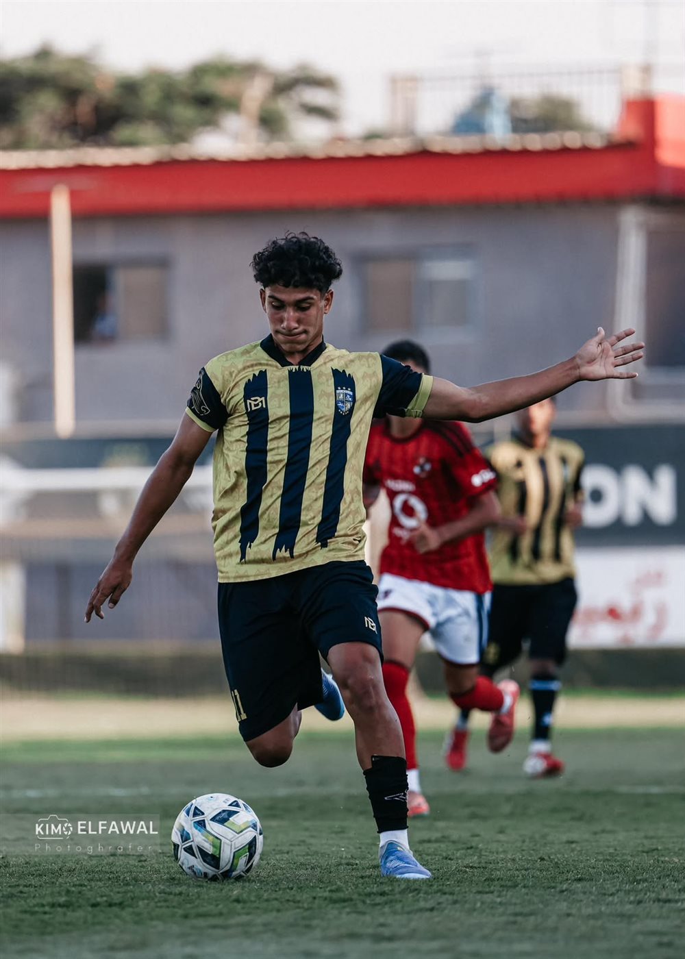 محمد تامر