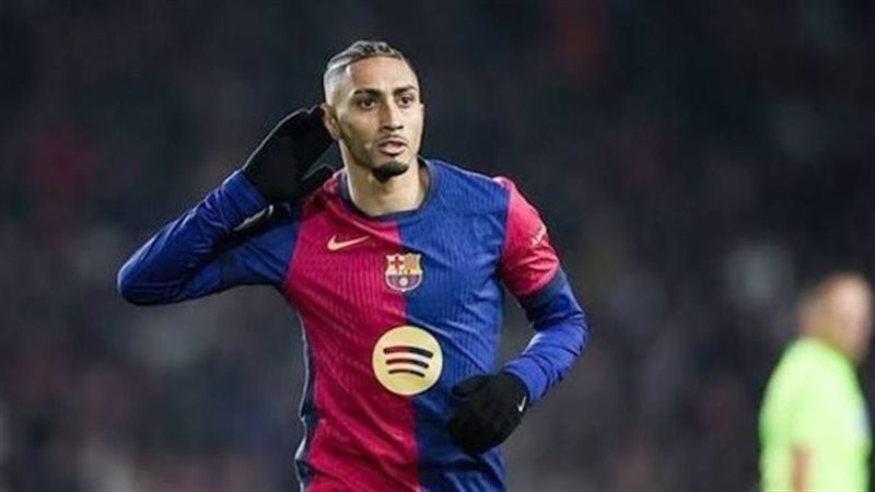 رافينيا
