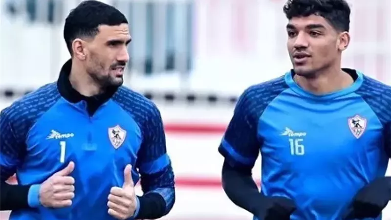 محمد صبحي ومحمد عواد
