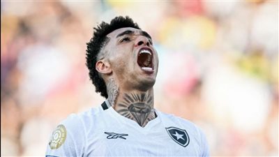 مهاجم بوتافوجو: لحظة التسجيل في باريس سان جيرمان هي الأفضل في مسيرتي