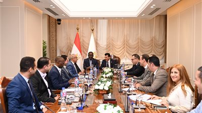 وزير الرياضة يلتقي الأمين العام للاتحاد الافريقي لمتابعة  آخر المستجدات لنقل مقر الاتحاد 