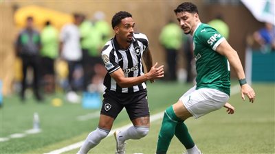 أهداف مباراة بالميراس و بوتافوجو بدور الـ16 فى كأس العالم للأندية 