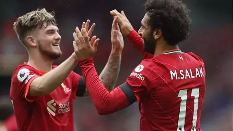 محمد صلاح وهارفي