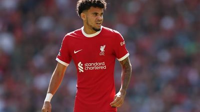 لويس دياز: بكيت عندما علمت بوفاة جوتا.. ولن أنسى تعاونه معي 