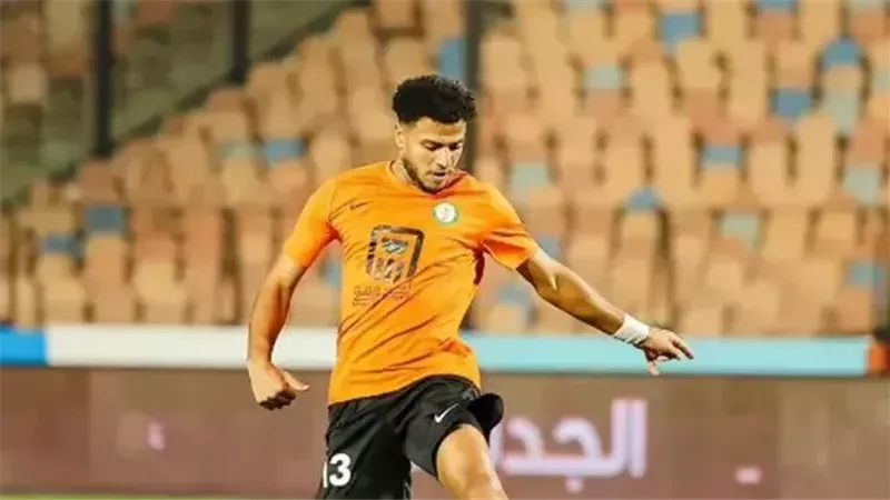 أحمد ربيع