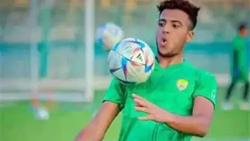 أحمد ربيع