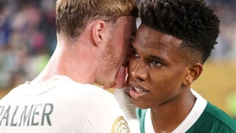 استيفاو ويليان