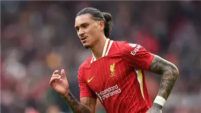 سيموني انزاجى يقرر استبعاد نونيز من ودية أراو السويسرى