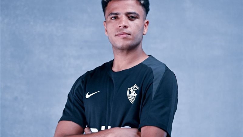 أحمد ربيع