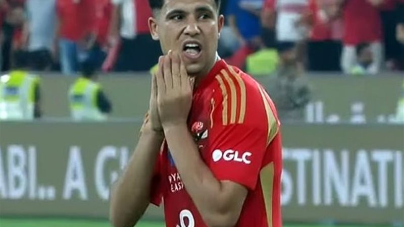 رضا سليم