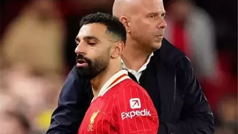 سلوت