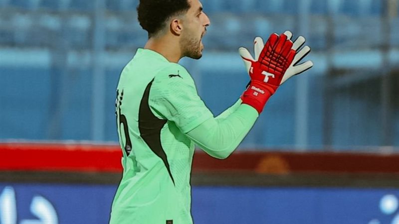 مصطفى شويير