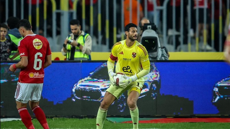 محمد الشناوي 