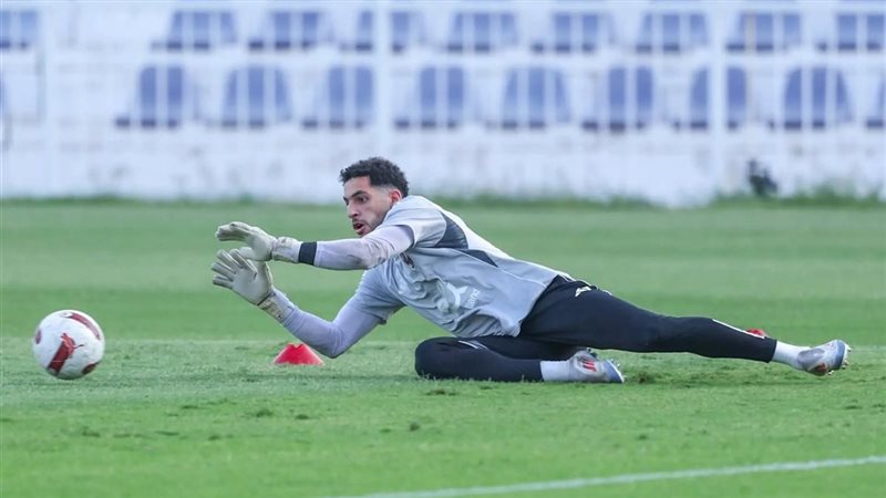 مصطفى شوبير