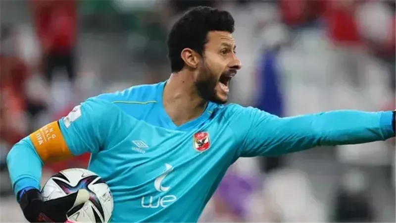 محمد الشناوي