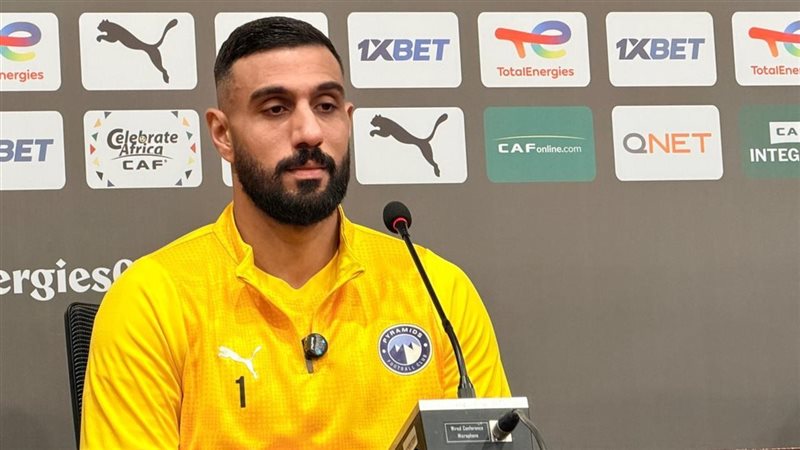 أحمد الشناوي