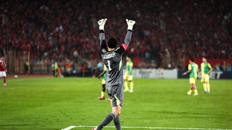 محمد الشناوي 