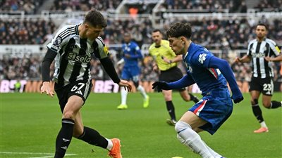 فيديو أهداف مباراة تشيلسي ونيوكاسل في الدوري الإنجليزي