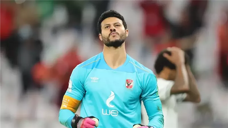 محمد الشناوي