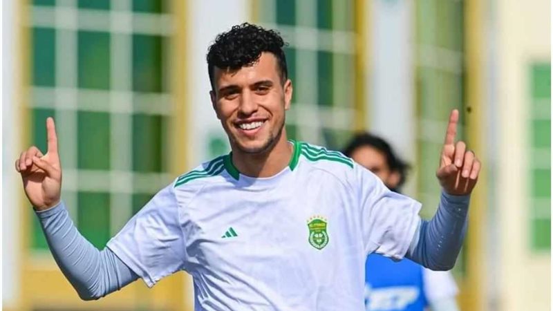 فوزي الحناوي 