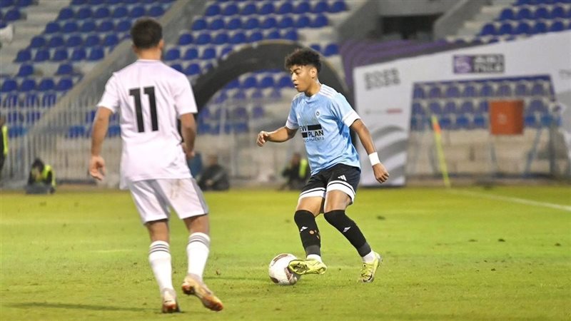 غزل المحلة وزد