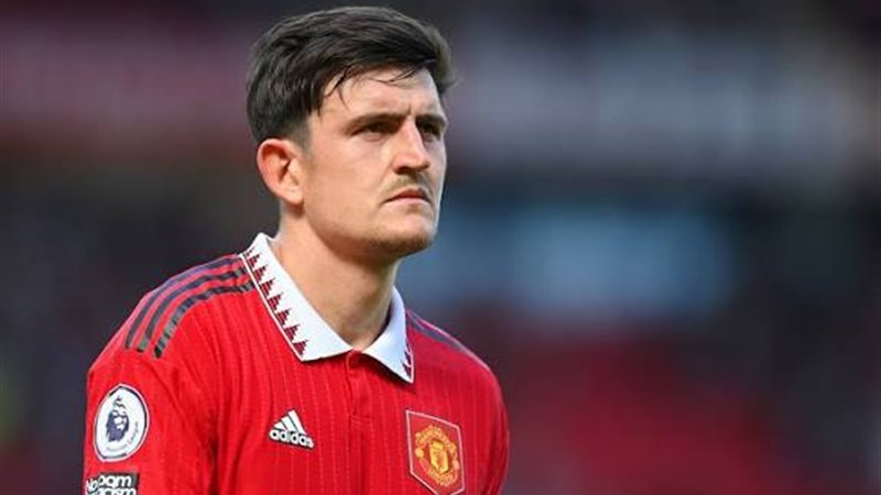 هاري ماجواير 