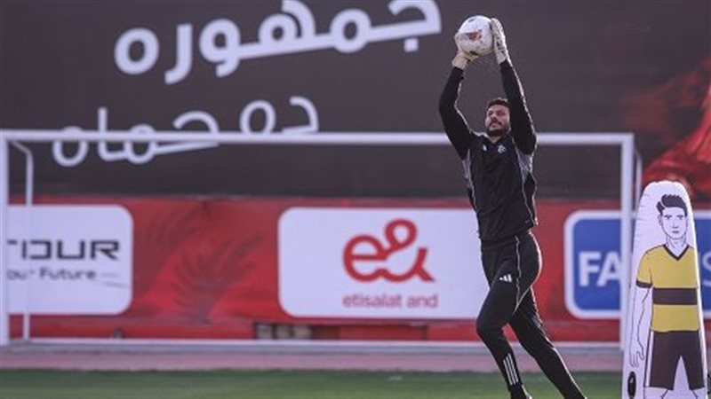 محمد الشناوي