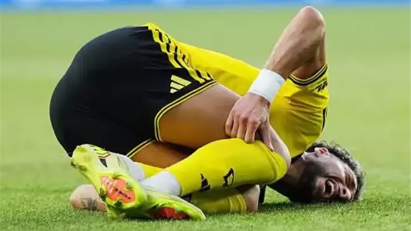 وسام أبو علي