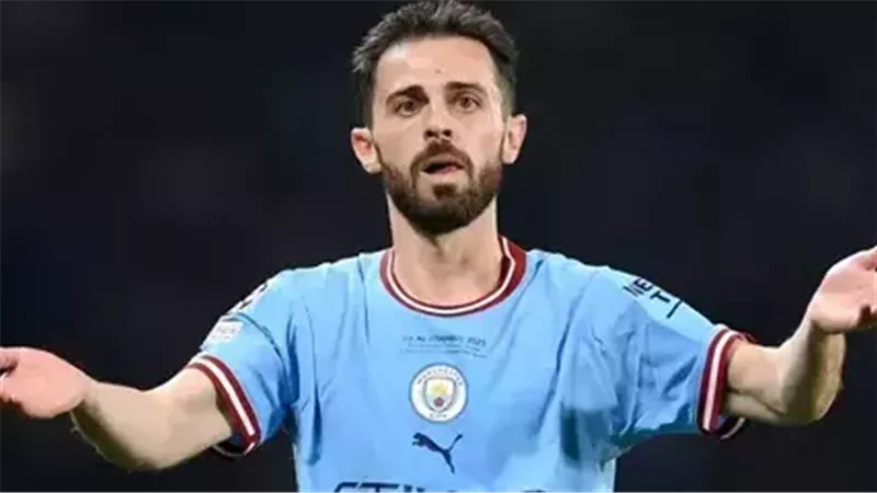 برنارد سيلفا