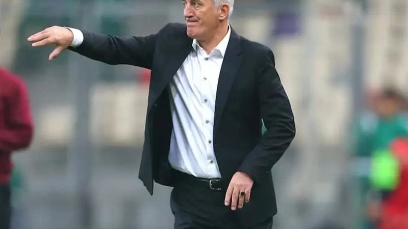 فلاديمير بيتكوفيتش