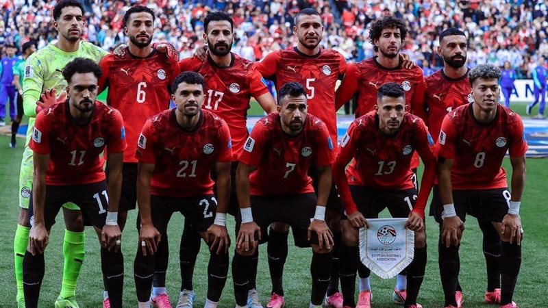مصطفى شوبير 