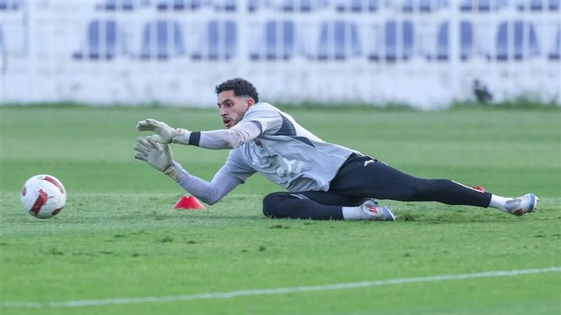 مصطفى شوبير