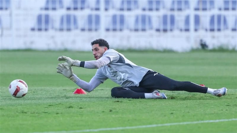 مصطفى شوبير