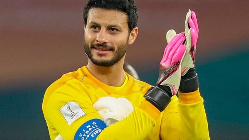 محمد الشناوي 
