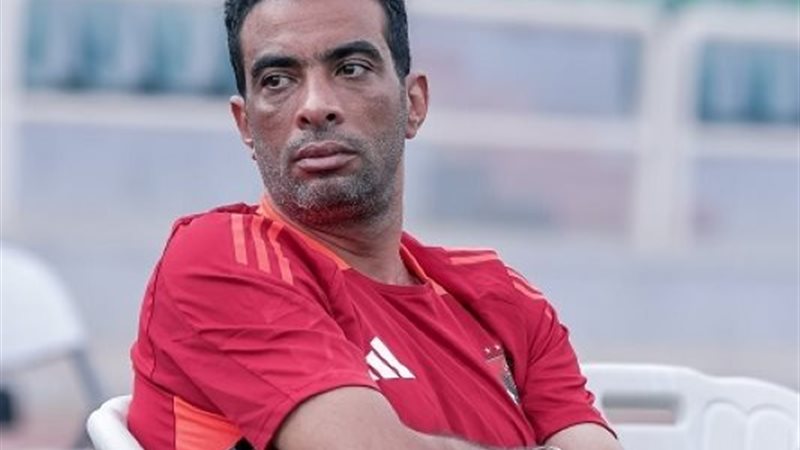 شادي محمد 